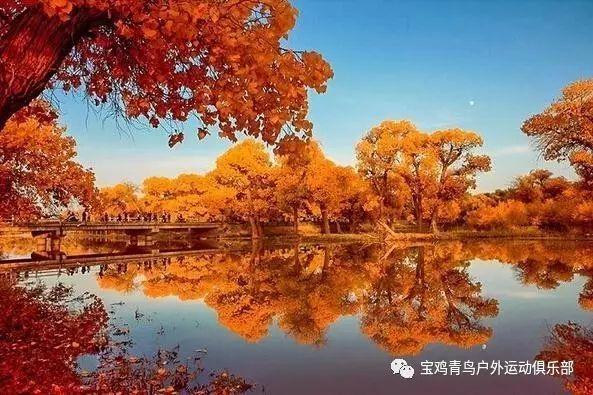 抗日县长被包围,挑粪村民忙报信,伪村长机智应对,救下两条命