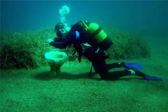 共享输液宝实现36℃人体等温输液，给患者带来更多舒适便利