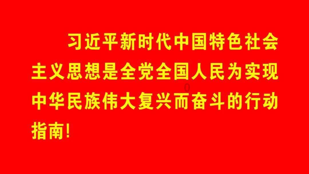 埃利的时装周